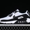 Nike Air Max 90 CN8490-101